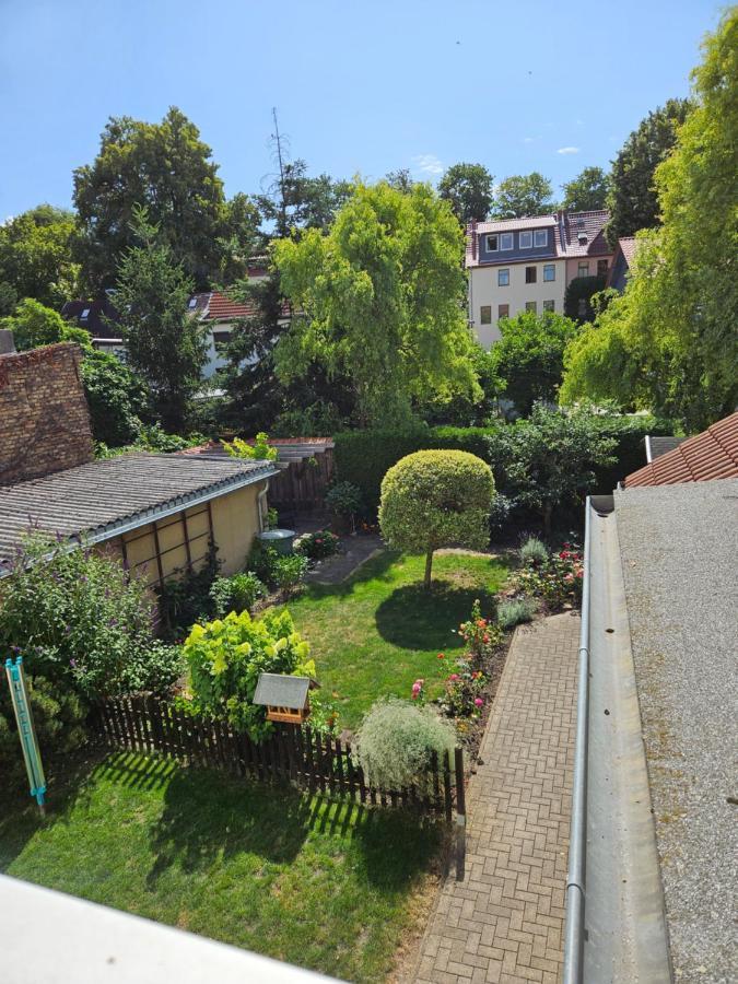 Weiss-Ferienwohnung Quedlinbourg Extérieur photo